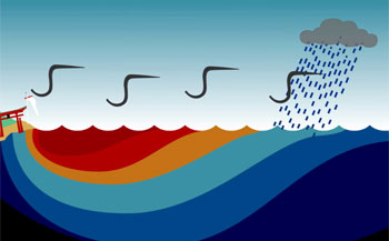 katia es en el ninyo